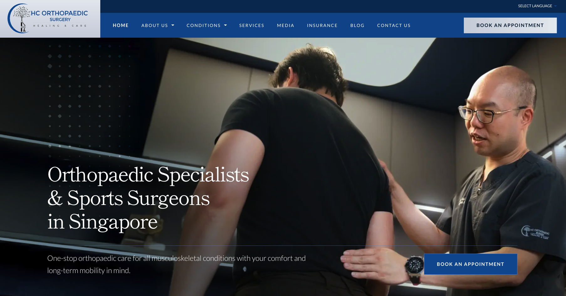 Orthopaedic